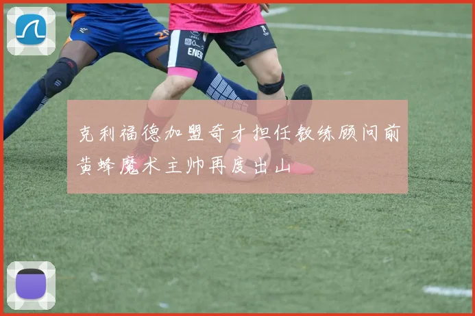 克利福德加盟奇才担任教练顾问前黄蜂魔术主帅再度出山