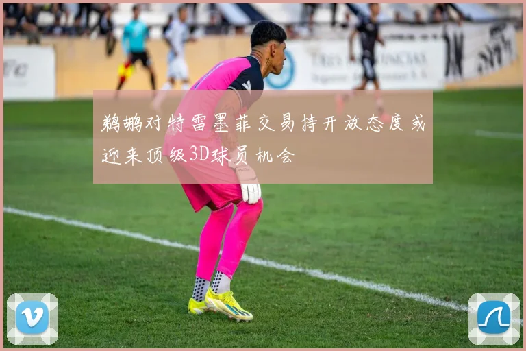 鹈鹕对特雷墨菲交易持开放态度或迎来顶级3D球员机会
